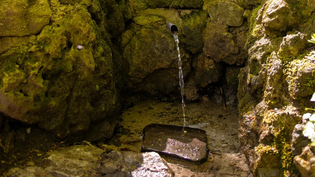 Bezpečnosť pitia vody z prírodných vodných zdrojov