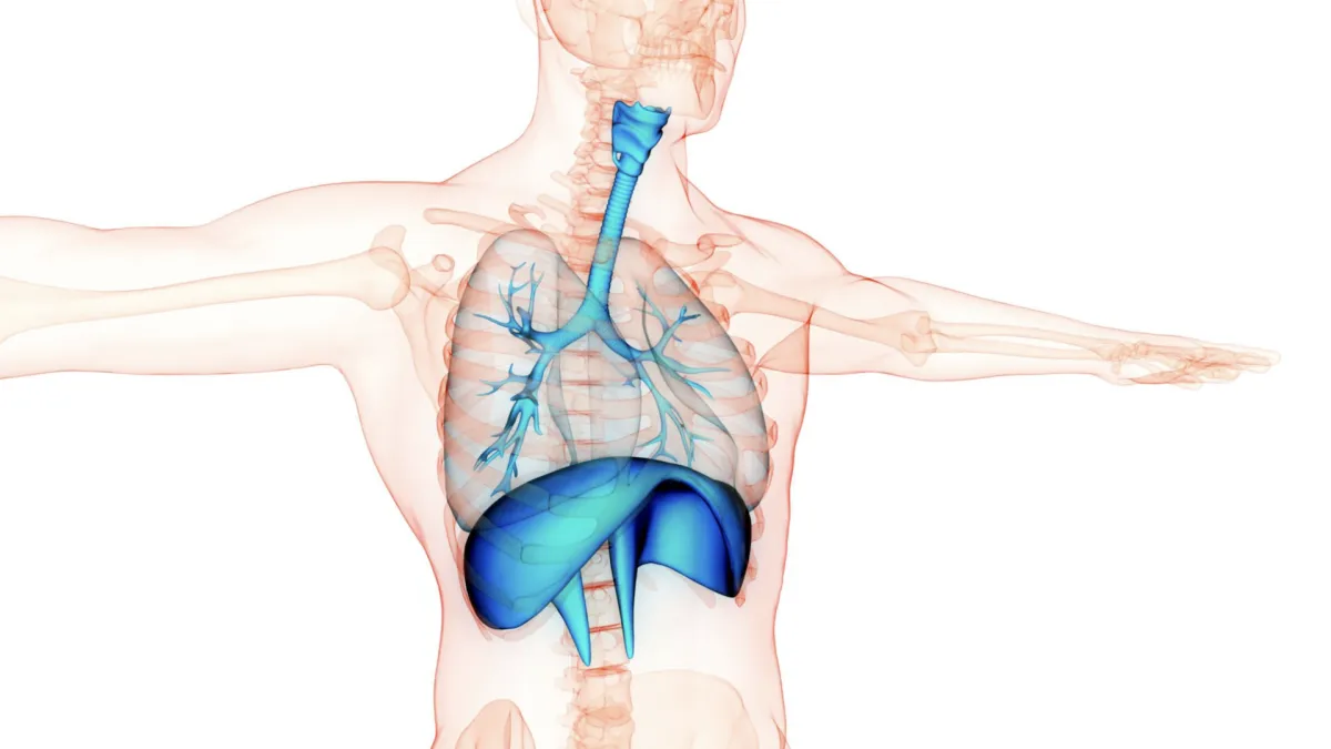 Bráničná hernia (diafragmatická hernia)