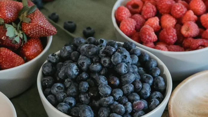 Líščia pásomnica