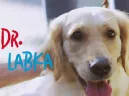 DR. LABKA