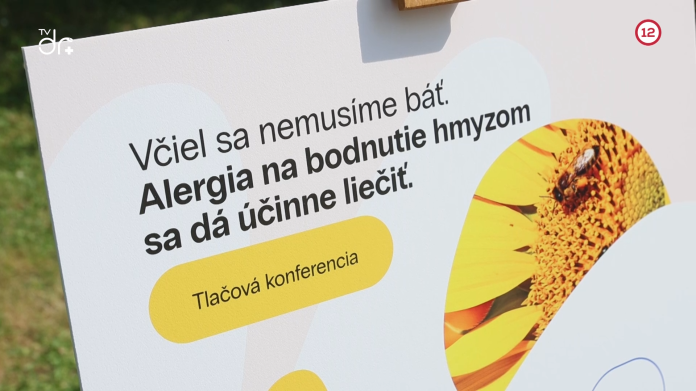 Alergia na bodnutie hmyzom