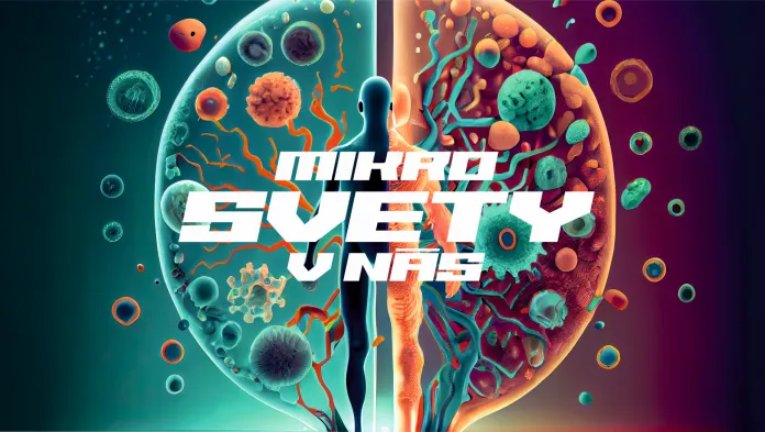 Mikrobióm a fekálna transplantácia