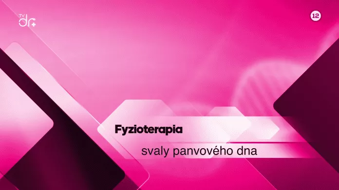 Fyzioterapia svalov panvového dna