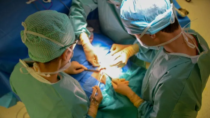 Transplantácia srdca